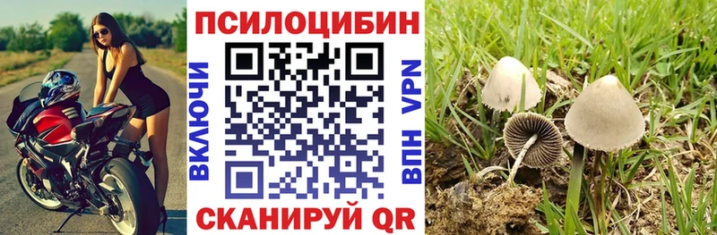 Галлюциногенные грибы Magic Shrooms  Ивдель 